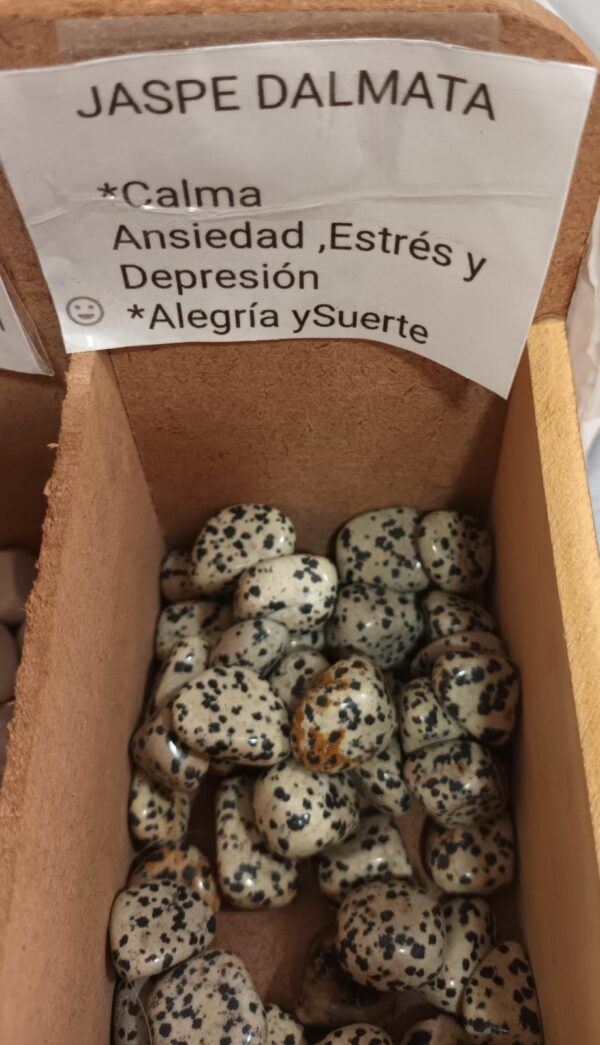 Piedras pequeñas. 1 unidad jaspe dalmata